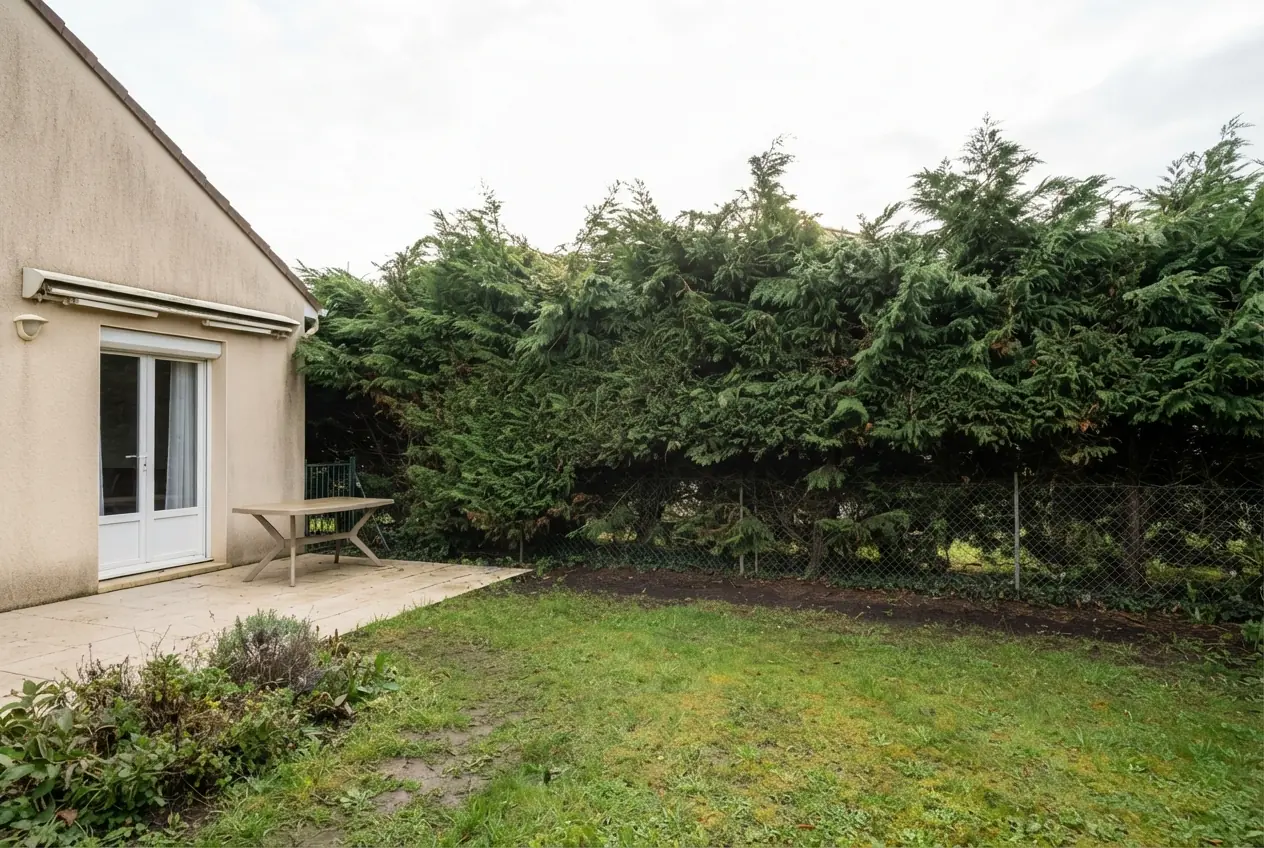 Haie haute avant taille dans un jardin à Échiré